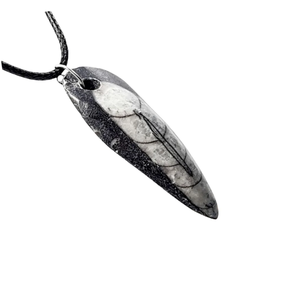 Genuine Fossilized Orthoceras Pendant w/ Black Cord Necklace | NWOT